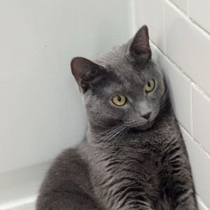 Meet your Posher, Evan